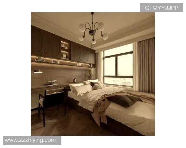 欧式家居设计风格解析与空间布置技巧,打造优雅舒适的家居环境